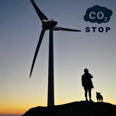 Decarbonization market in India and the world